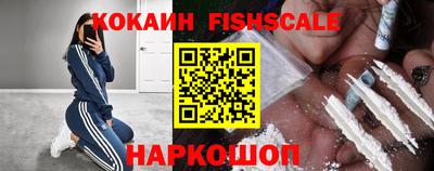 крисы Коммунар