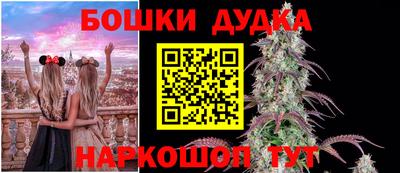 крисы Коммунар